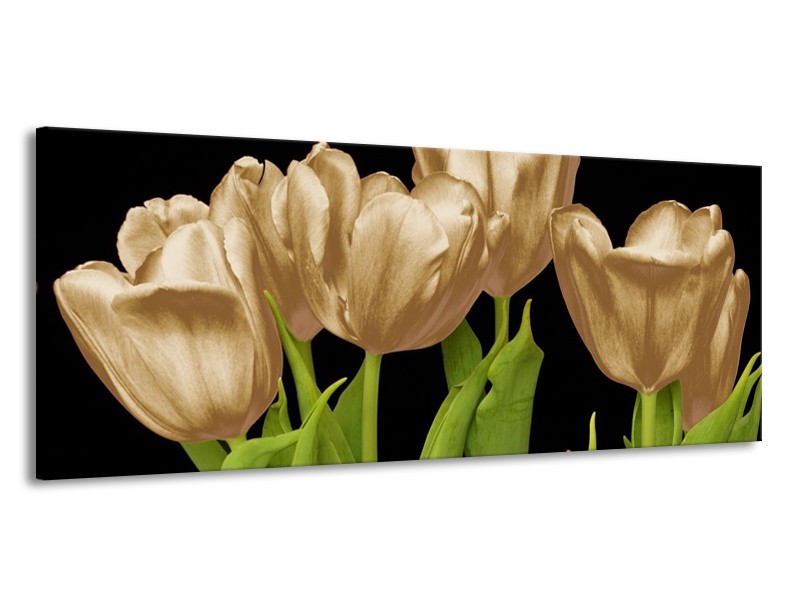 Canvas schilderij Tulpen | Goud, Groen, Zwart | 145x58cm 1Luik
