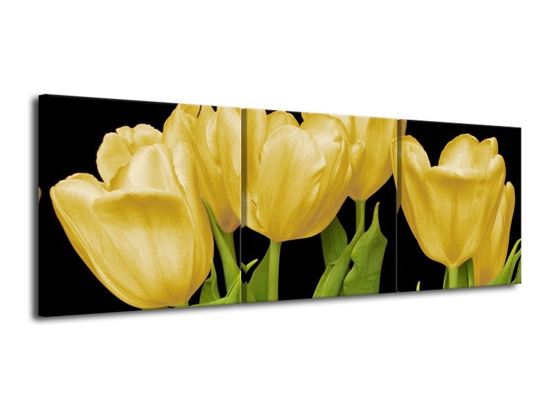 Canvas schilderij Tulpen | Geel, Groen, Zwart | 120x40cm 3Luik