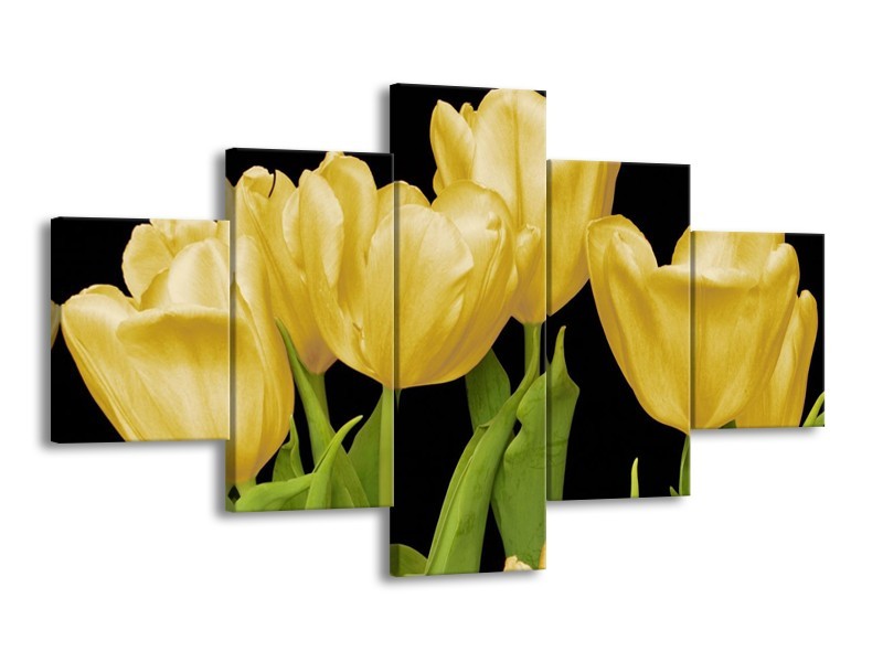 Canvas schilderij Tulpen | Geel, Groen, Zwart | 125x70cm 5Luik