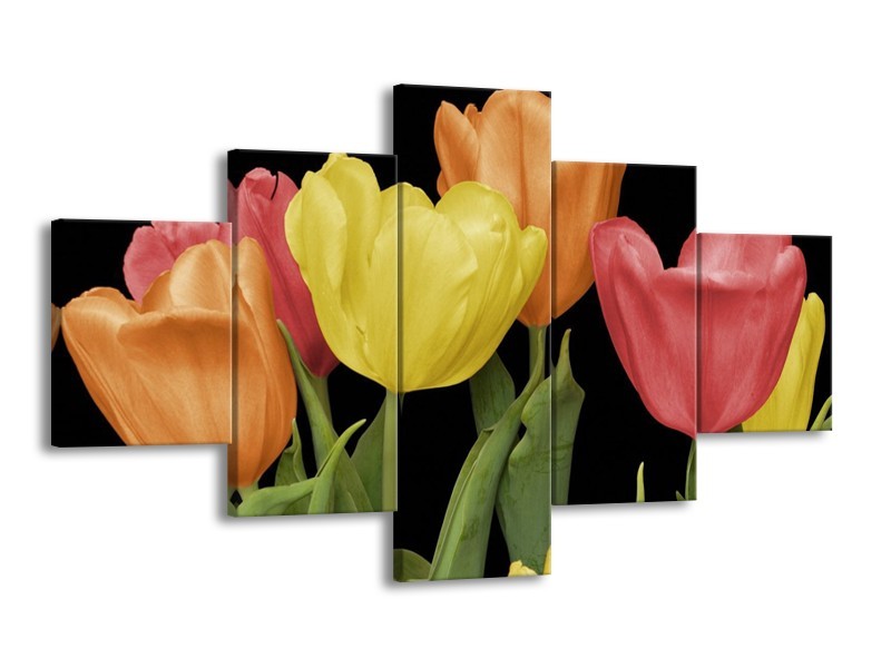 Canvas schilderij Tulpen | Geel, Oranje, Rood | 125x70cm 5Luik