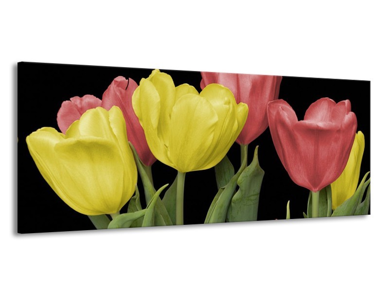 Canvas schilderij Tulpen | Geel, Rood, Zwart | 145x58cm 1Luik
