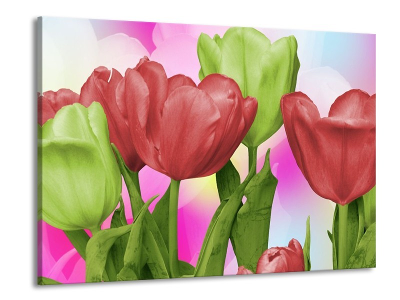 Canvas schilderij Tulpen | Rood, Groen, Paars | 100x70cm 1Luik