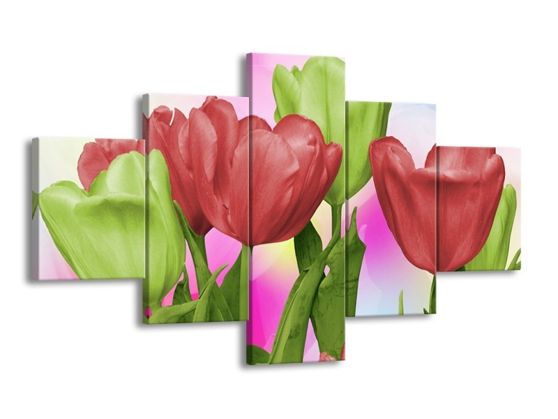 Canvas schilderij Tulpen | Rood, Groen, Paars | 125x70cm 5Luik