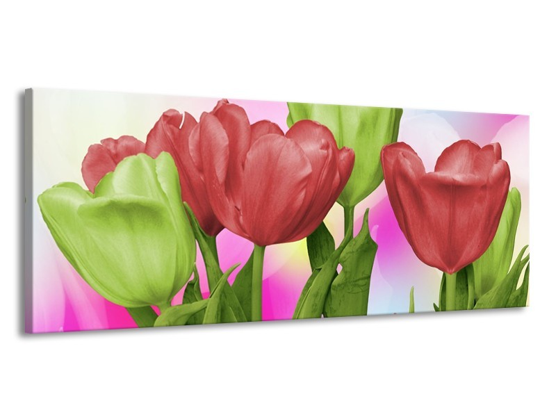 Canvas schilderij Tulpen | Rood, Groen, Paars | 145x58cm 1Luik