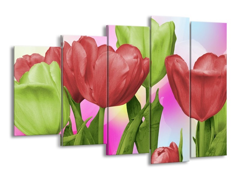 Canvas schilderij Tulpen | Rood, Groen, Paars | 150x100cm 5Luik