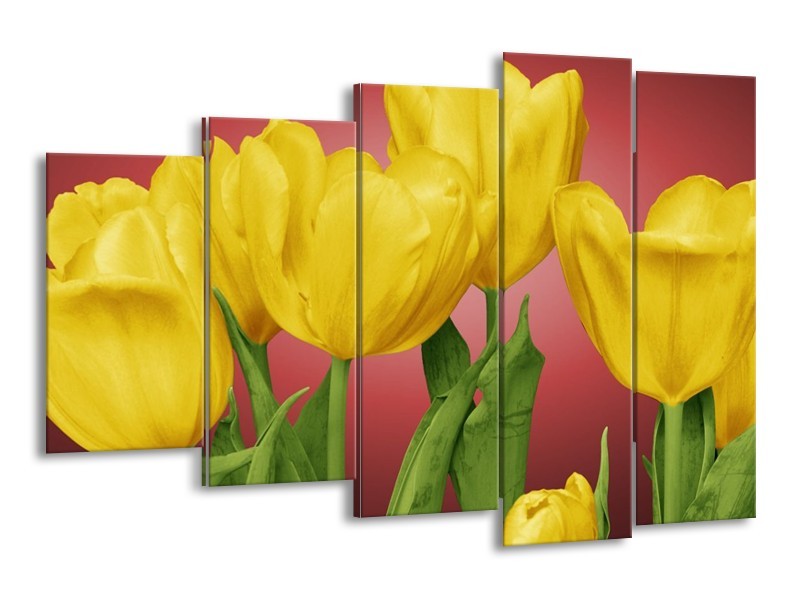 Canvas schilderij Tulpen | Geel, Rood, Groen | 150x100cm 5Luik