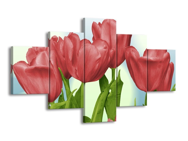 Canvas schilderij Tulpen | Rood, Groen, Blauw | 125x70cm 5Luik