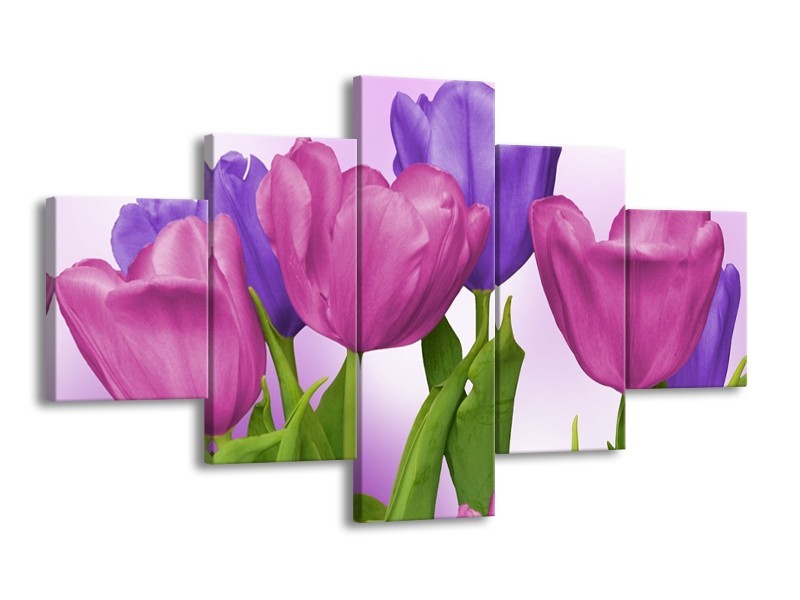 Canvas schilderij Tulpen | Paars, Roze, Groen | 125x70cm 5Luik