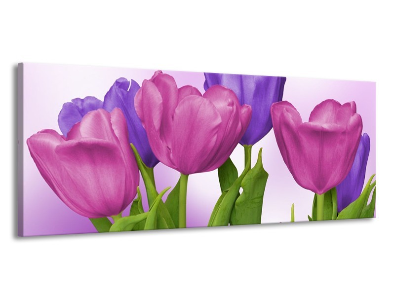 Canvas schilderij Tulpen | Paars, Roze, Groen | 145x58cm 1Luik
