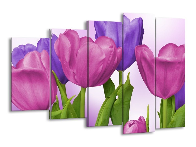 Canvas schilderij Tulpen | Paars, Roze, Groen | 150x100cm 5Luik