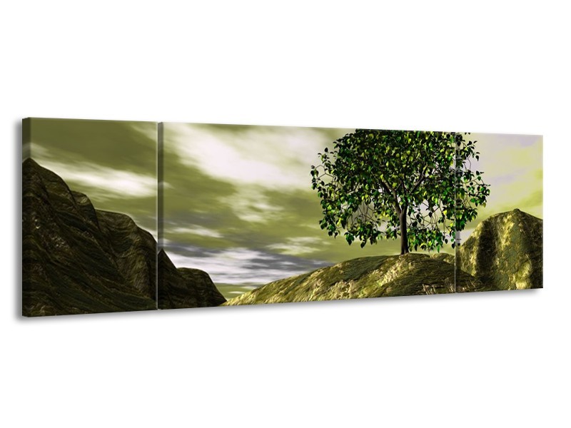 Canvas schilderij Natuur | Groen, Grijs, Wit | 170x50cm 3Luik
