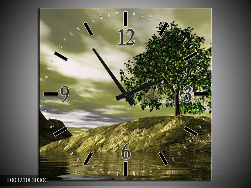 Klok schilderij Natuur | Groen, Grijs, Wit | 30x30cm 1Luik