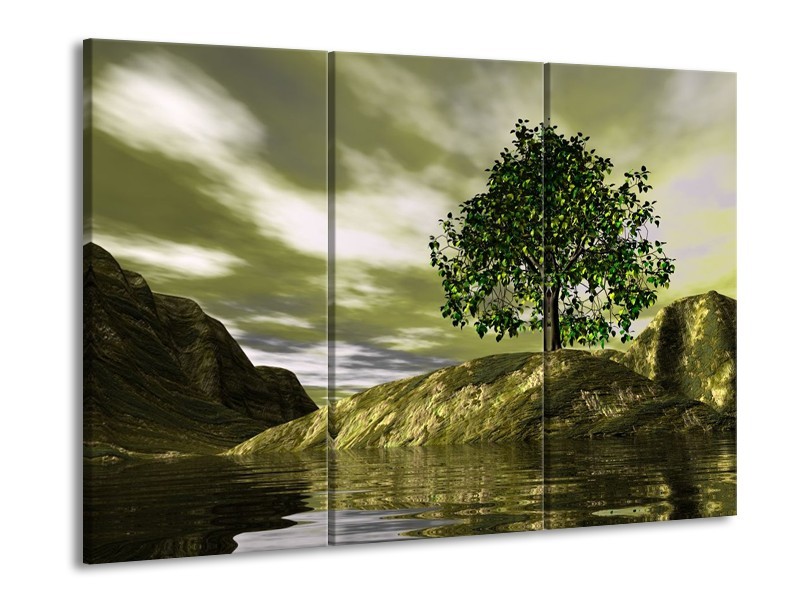 Canvas schilderij Natuur | Groen, Grijs, Wit | 90x60cm 3Luik