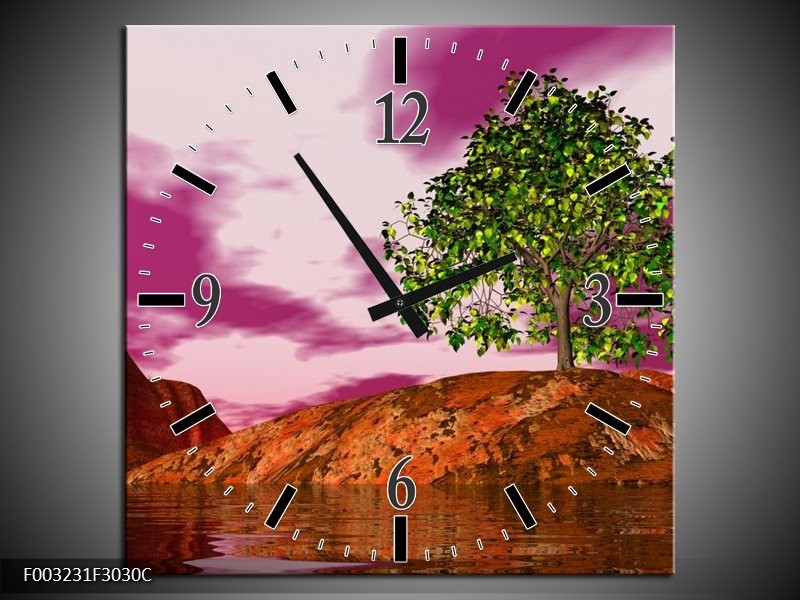 Klok schilderij Natuur | Groen, Paars, Roze | 30x30cm 1Luik
