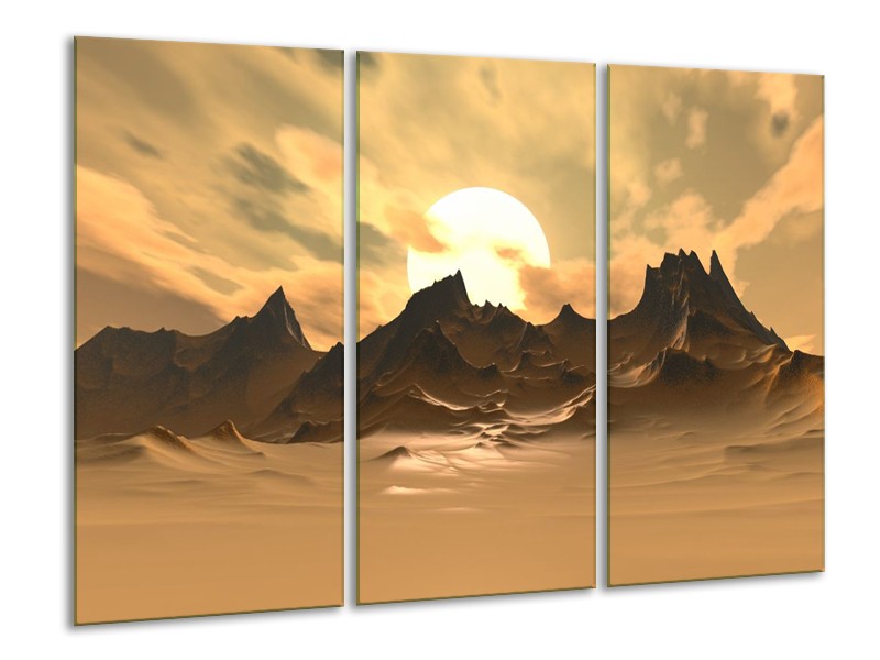 Canvas schilderij Natuur | Wit, Bruin, Grijs | 120x80cm 3Luik