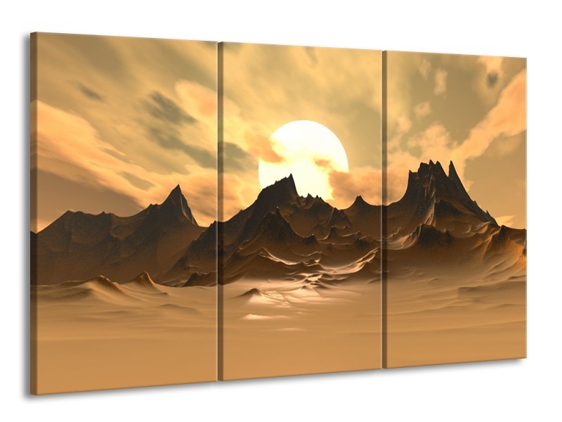 Canvas schilderij Natuur | Wit, Bruin, Grijs | 165x100cm 3Luik