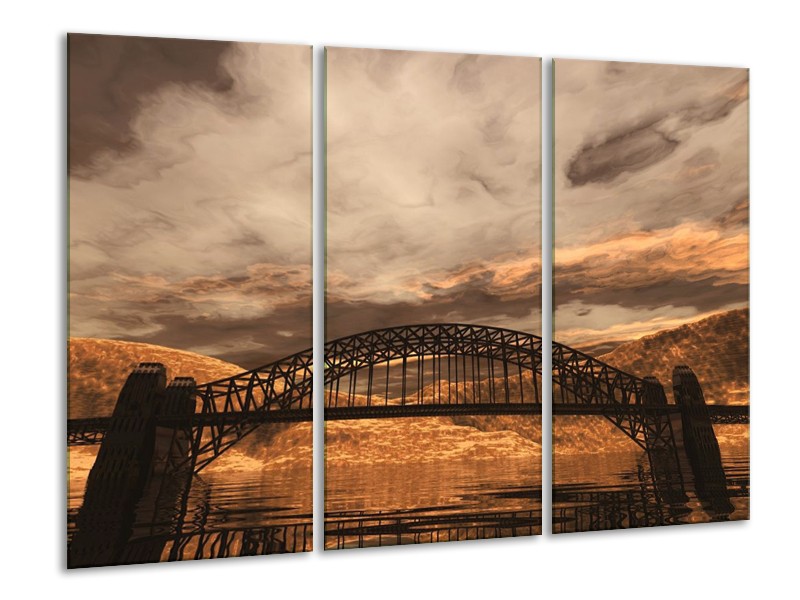 Canvas schilderij Natuur | Bruin, Zwart, Grijs | 120x80cm 3Luik