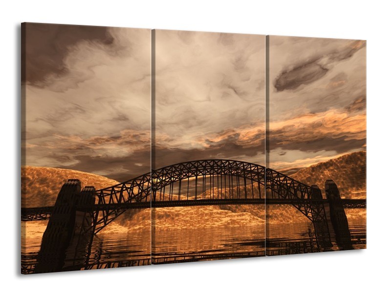 Canvas schilderij Natuur | Bruin, Zwart, Grijs | 165x100cm 3Luik