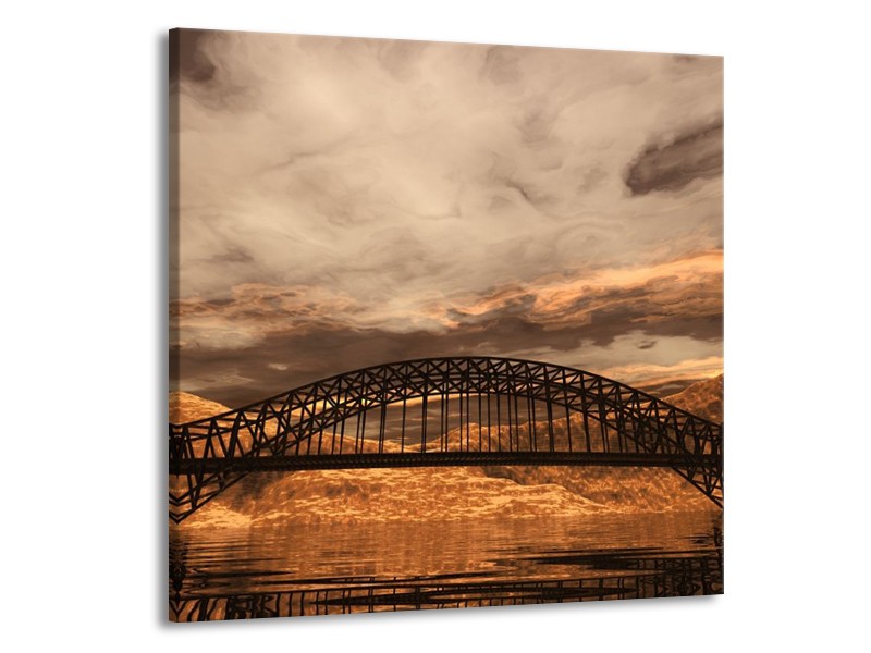 Canvas schilderij Natuur | Bruin, Zwart, Grijs | 50x50cm 1Luik