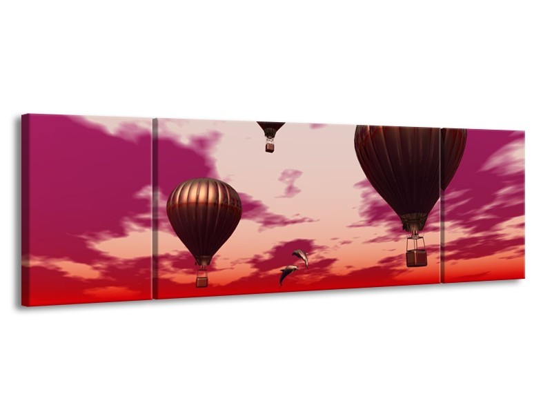 Glas schilderij Luchtballon | Paars, Rood, Grijs | 170x50cm 3Luik