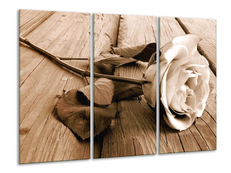 Canvas schilderij Roos | Bruin, Sepia, Wit | 120x80cm 3Luik