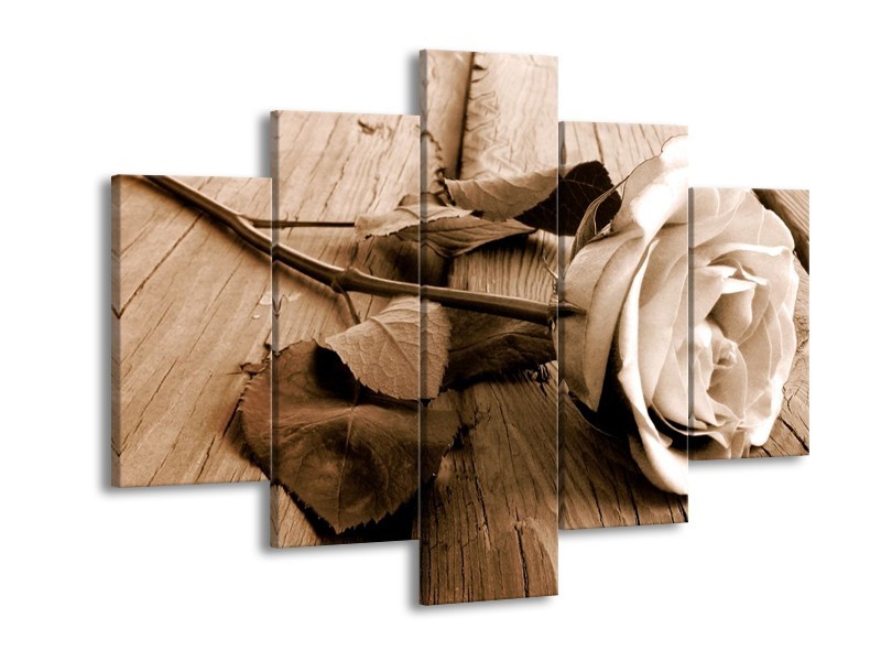 Glas schilderij Roos | Bruin, Sepia, Wit | 150x105cm 5Luik