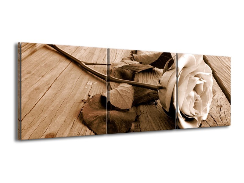 Canvas schilderij Roos | Bruin, Sepia, Wit | 150x50cm 3Luik