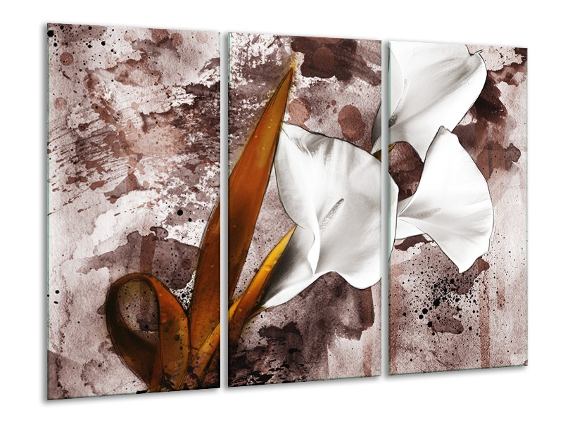 Canvas schilderij Bloem | Bruin, Wit, Grijs | 120x80cm 3Luik