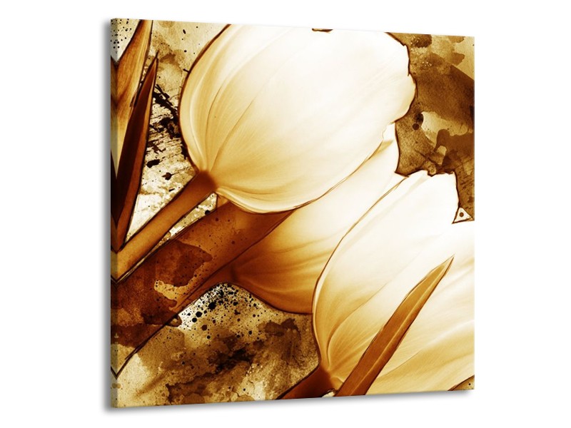 Canvas schilderij Tulpen | Bruin, Wit | 50x50cm 1Luik
