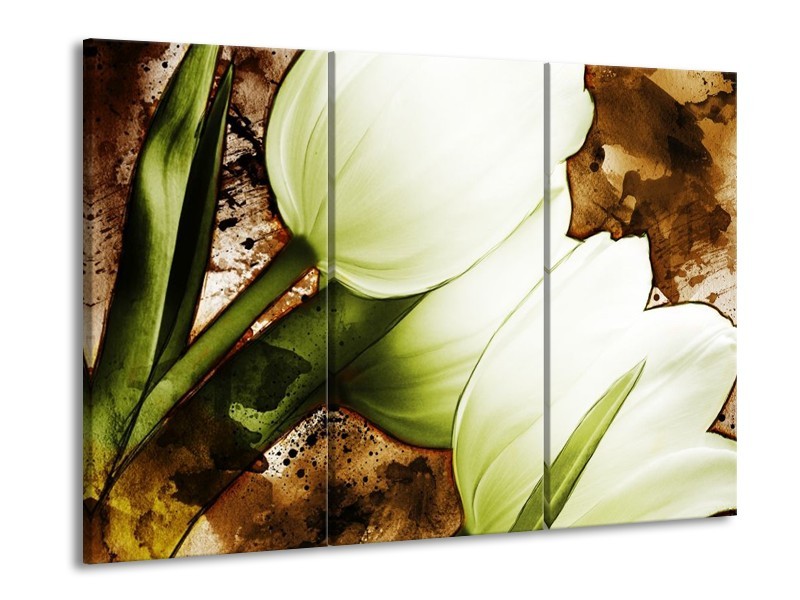 Glas schilderij Tulpen | Groen, Wit, Bruin | 90x60cm 3Luik