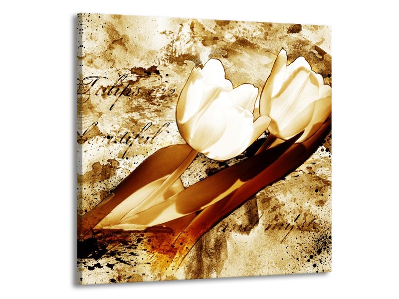 Canvas schilderij Tulpen | Bruin, Wit | 50x50cm 1Luik