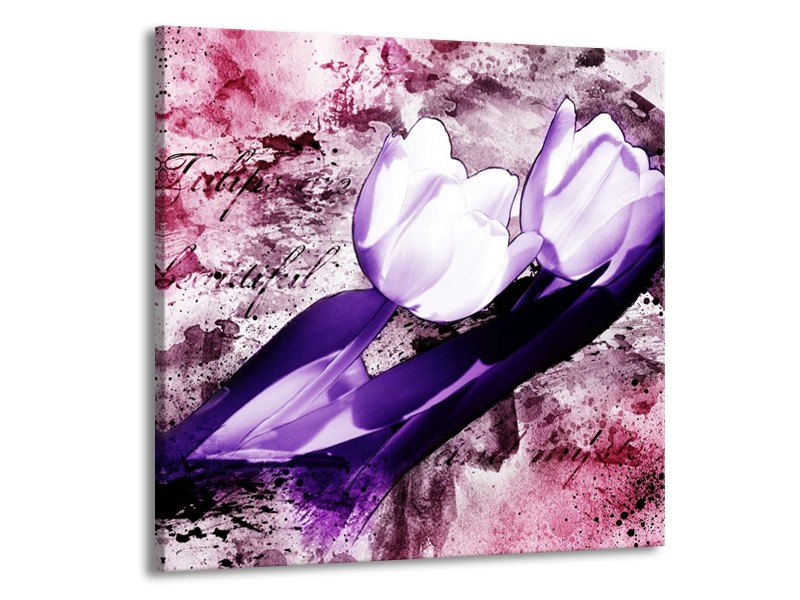 Glas schilderij Tulpen | Paars, Wit | 50x50cm 1Luik