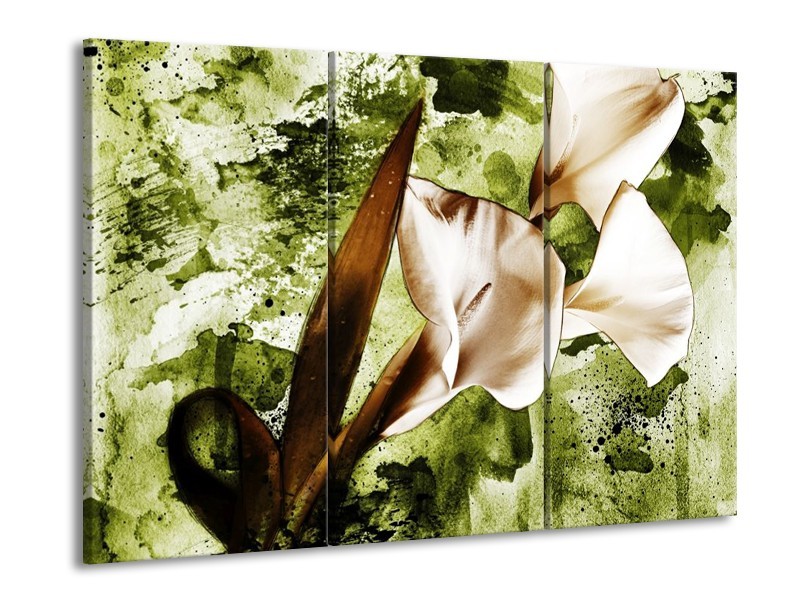 Canvas schilderij Bloem | Bruin, Wit, Groen | 90x60cm 3Luik