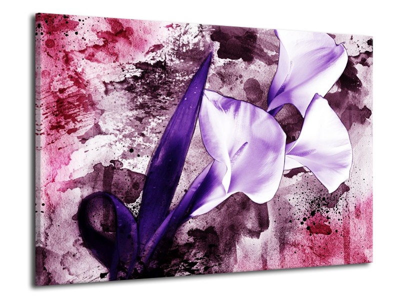 Glas schilderij Bloem | Paars, Wit, Roze | 70x50cm 1Luik