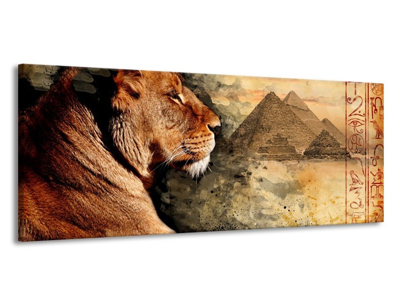 Canvas schilderij Leeuw | Bruin, Grijs, Zwart | 145x58cm 1Luik