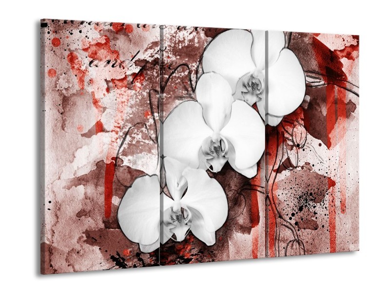 Canvas schilderij Orchidee | Wit, Rood | 90x60cm 3Luik
