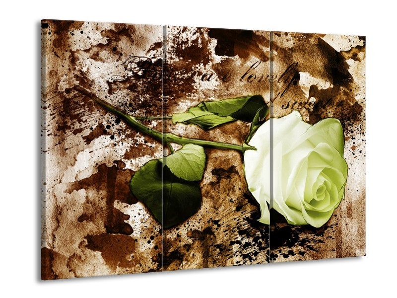 Canvas schilderij Roos | Groen, Bruin, Wit | 90x60cm 3Luik