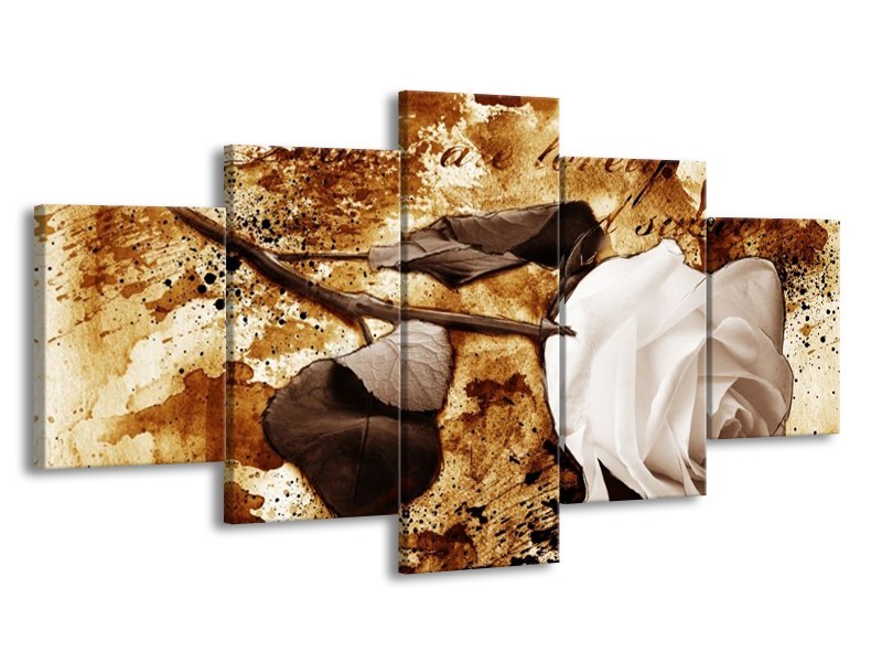 Canvas schilderij Roos | Bruin, Wit | 150x80cm 5Luik