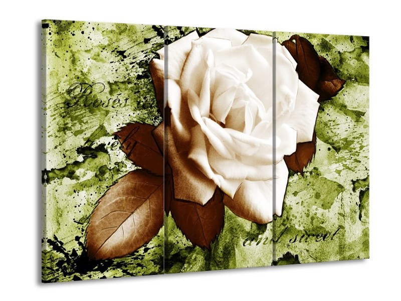 Canvas schilderij Roos | Bruin, Wit, Groen | 90x60cm 3Luik