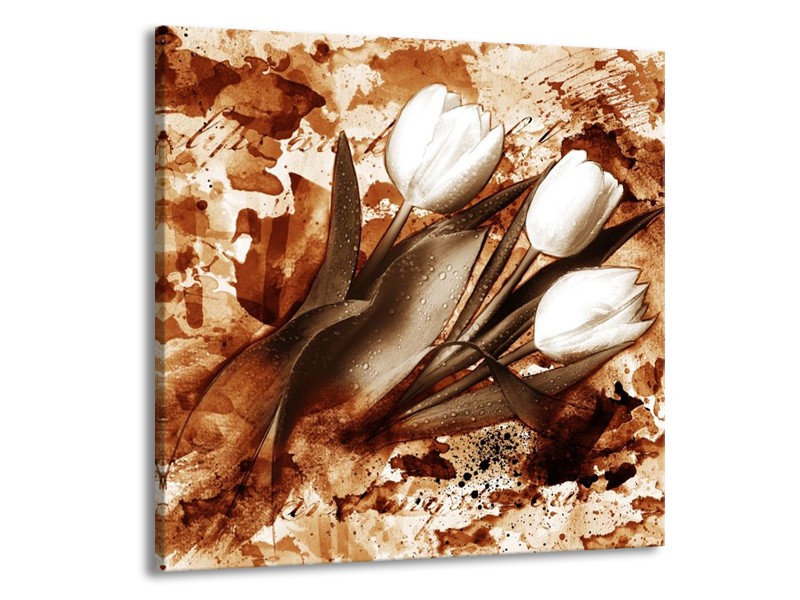 Canvas schilderij Tulpen | Bruin, Wit | 50x50cm 1Luik