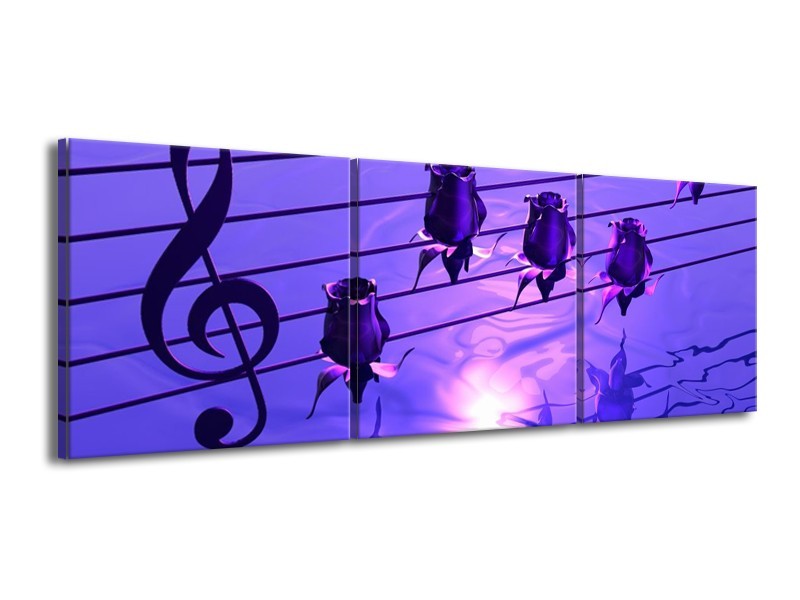 Glas schilderij Muziek | Paars, Wit | 150x50cm 3Luik