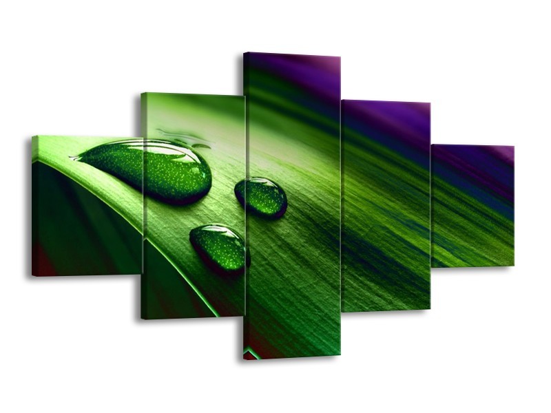 Canvas schilderij Druppel | Groen, Wit, Paars | 125x70cm 5Luik