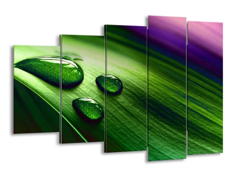 Canvas schilderij Druppel | Groen, Wit, Paars | 150x100cm 5Luik
