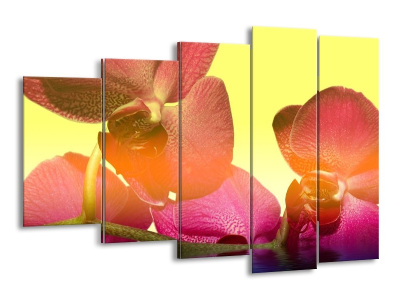 Canvas schilderij Orchidee | Geel, Roze, Paars | 150x100cm 5Luik