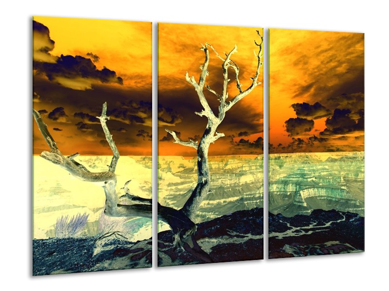 Canvas schilderij Natuur | Geel, Bruin, Wit | 120x80cm 3Luik