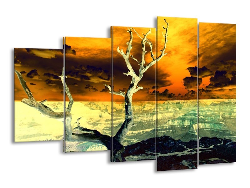 Canvas schilderij Natuur | Geel, Bruin, Wit | 150x100cm 5Luik