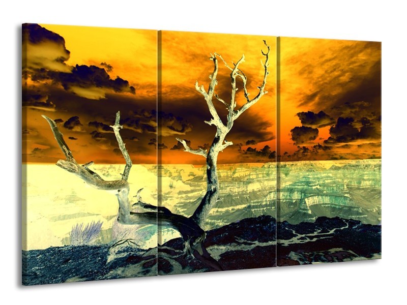 Canvas schilderij Natuur | Geel, Bruin, Wit | 165x100cm 3Luik