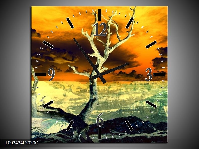 Klok schilderij Natuur | Geel, Bruin, Wit | 30x30cm 1Luik