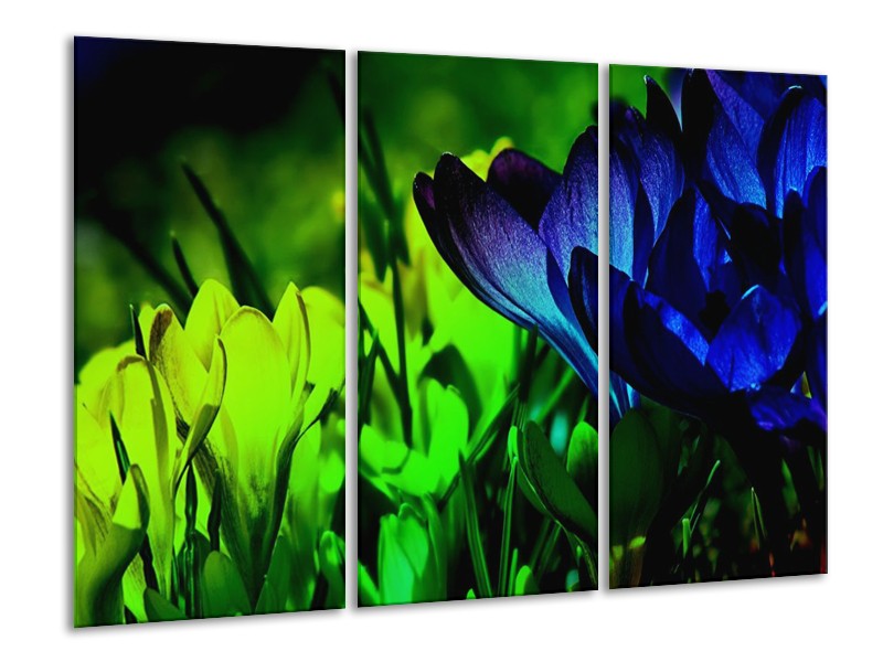 Canvas schilderij Krokus | Groen, Blauw, Zwart | 120x80cm 3Luik