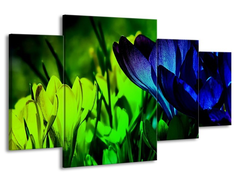 Canvas schilderij Krokus | Groen, Blauw, Zwart | 160x90cm 4Luik